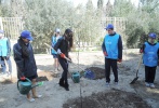 По инициативе Лейлы Алиевой дан старт проекту «Школьные сады»